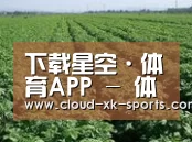 种植基地五