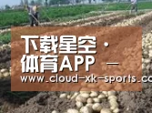 种植基地七(图1)