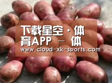 产品展示标题5