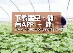 种植基地三