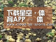 种植基地八(图1)