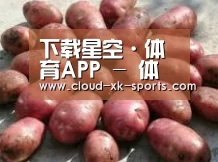 产品展示标题5(图1)