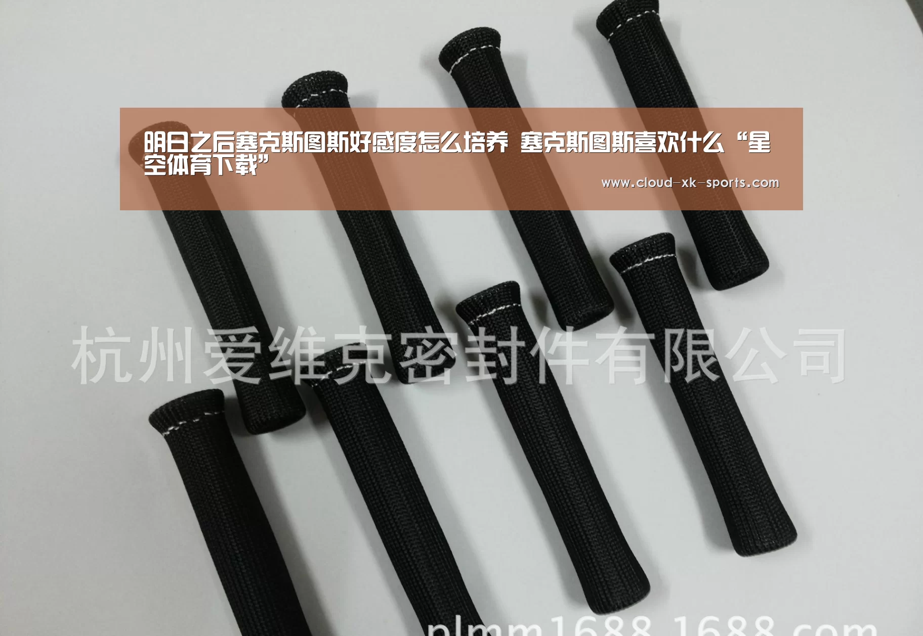 明日之后塞克斯图斯好感度怎么培养 塞克斯图斯喜欢什么“星空体育下载”(图2) 星空体育官网