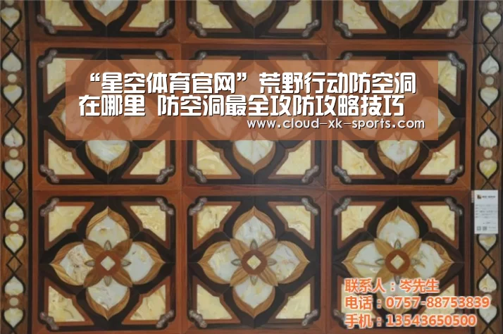 星空体育官网
