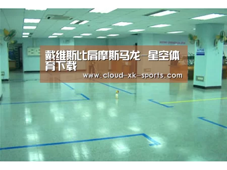 戴维斯比肩摩斯马龙-星空体育下载(图3) 星空体育官网
